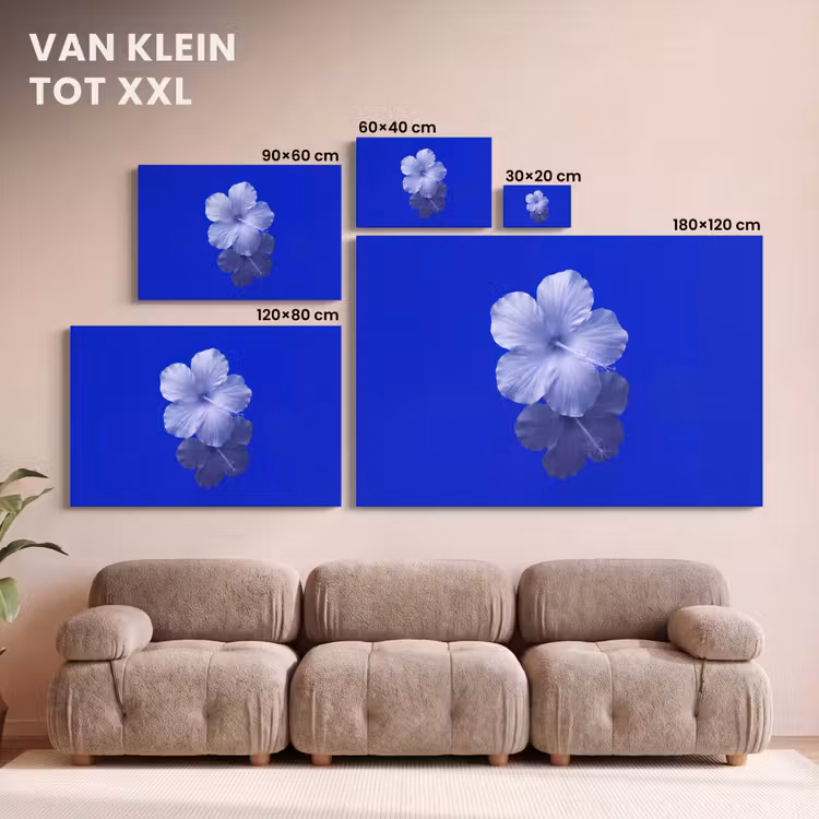 Canvas schilderij - Bloemen - Blauw - Natuur — 8