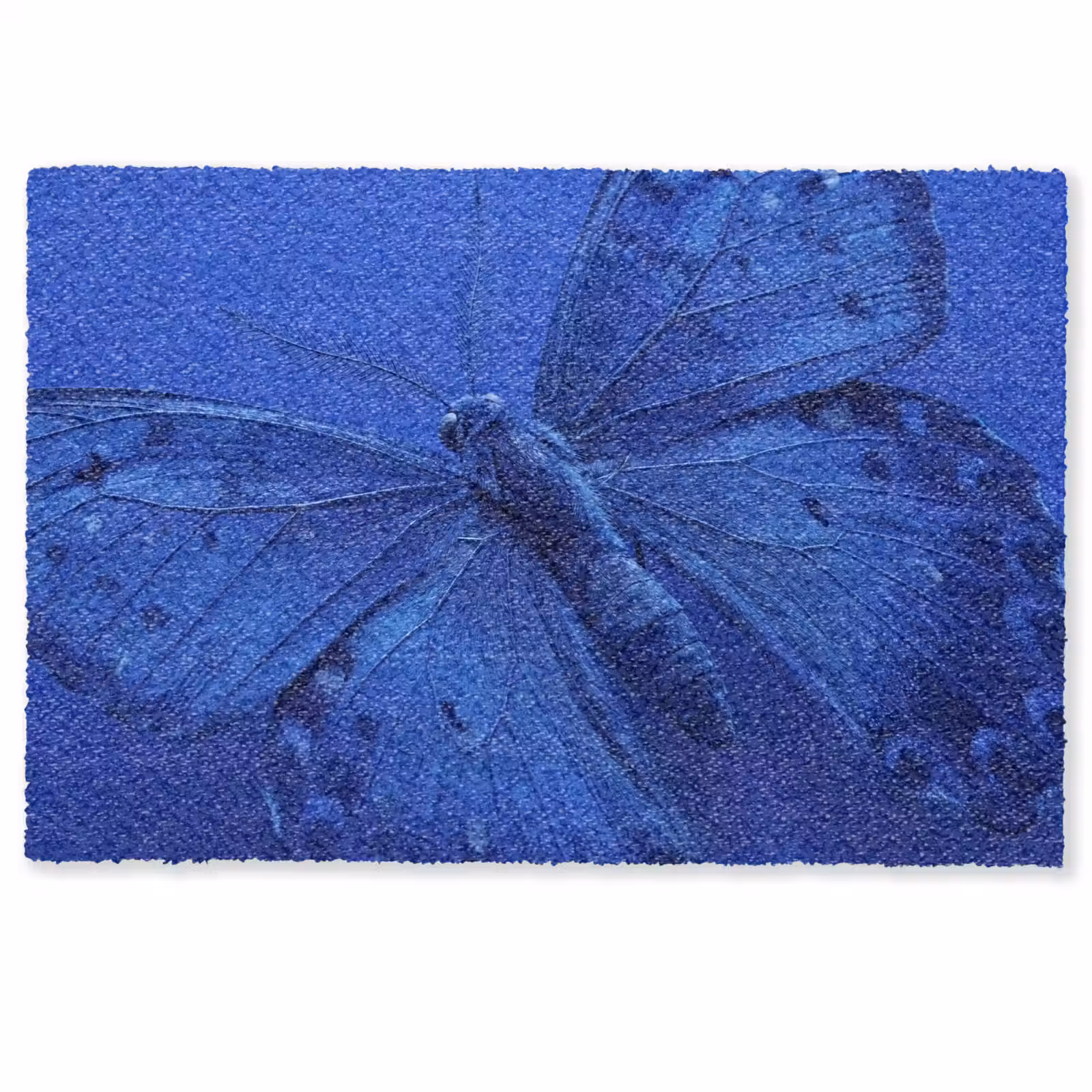Deurmat - Blauwe vlinder - Insect — 1