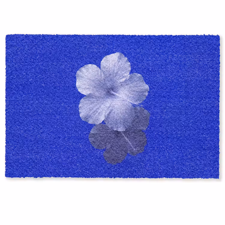 Deurmat - Bloemen - Blauw - Natuur — 1