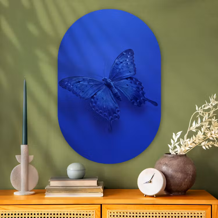Muurovaal - Glas - Blauwe vlinder - Insect — 2