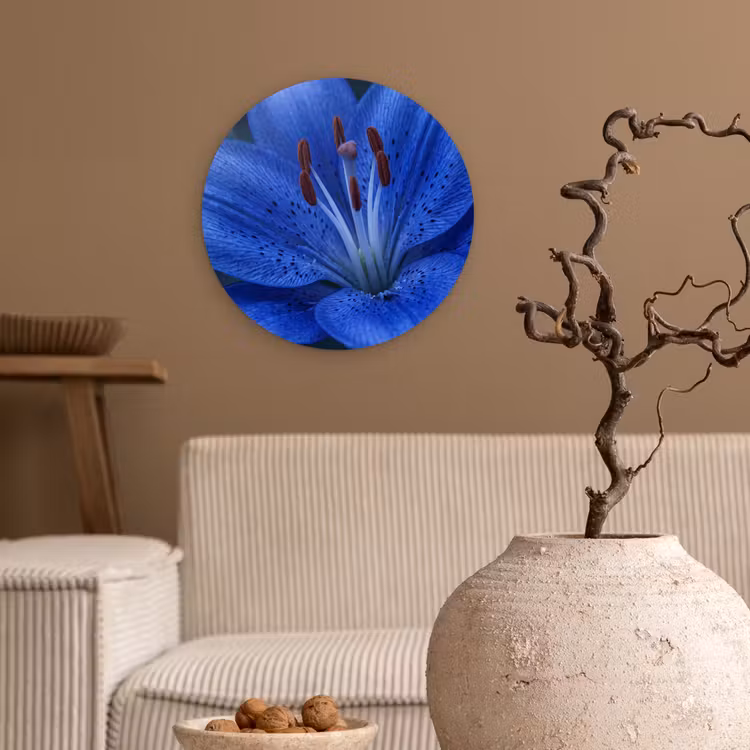 Muurcirkel - Blauwe bloem - Natuur — 2