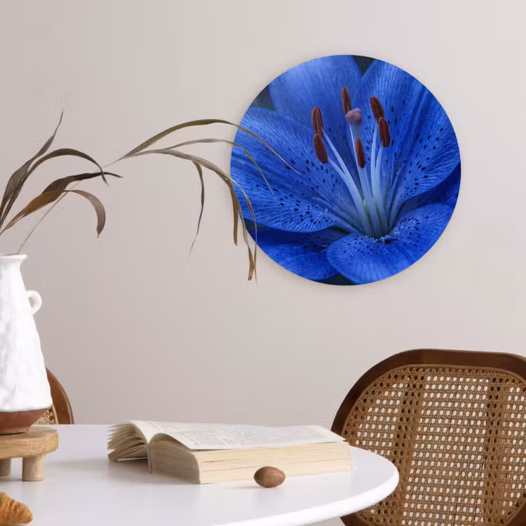 Muurcirkel - Blauwe bloem - Natuur — 4