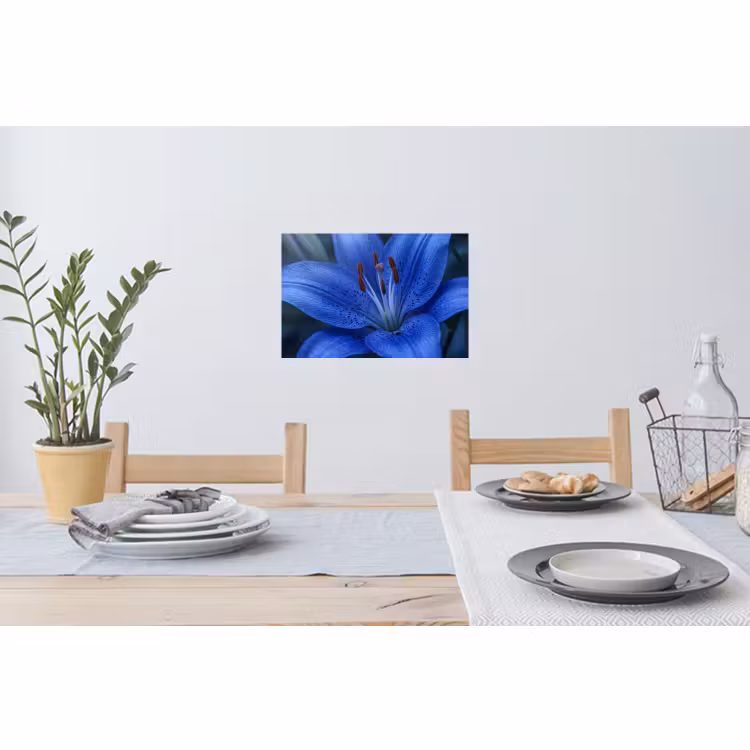 Muursticker - Blauwe bloem - Natuur — 3