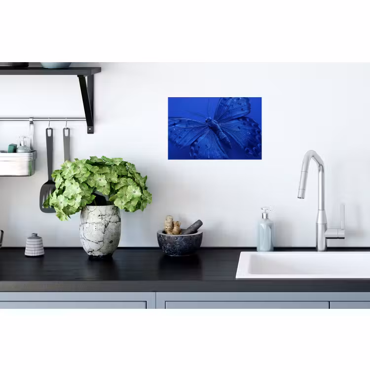 Muursticker - Blauwe vlinder - Insect — 2