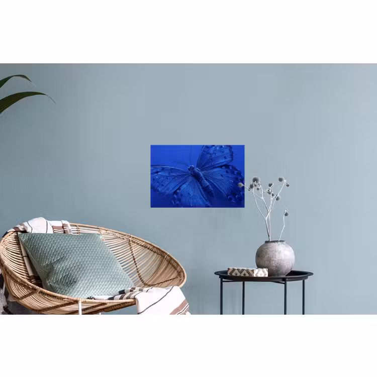 Muursticker - Blauwe vlinder - Insect — 4