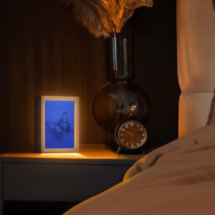 Gepersonaliseerde Lightbox - Blauwe vlinder - Insect — 2