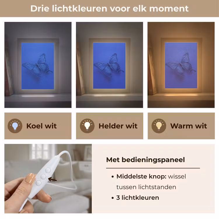 Gepersonaliseerde Lightbox - Blauwe vlinder - Insect — 6