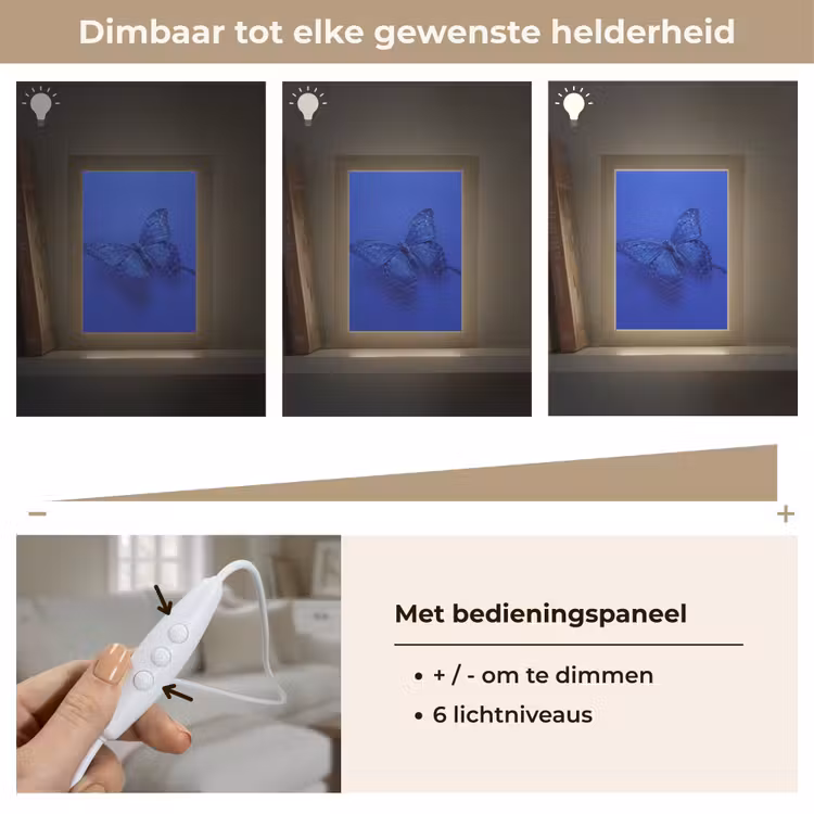 Gepersonaliseerde Lightbox - Blauwe vlinder - Insect — 8
