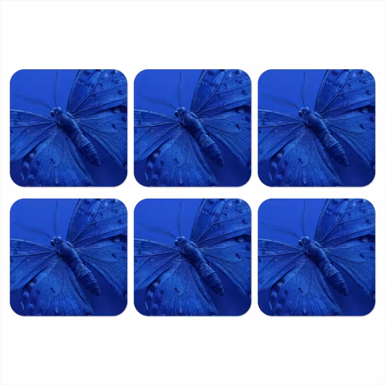 Onderzetter​ - Blauwe vlinder - Insect — 1