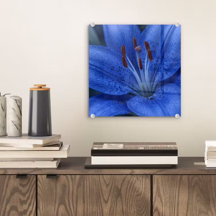 Glas schilderij - Blauwe bloem - Natuur — 2