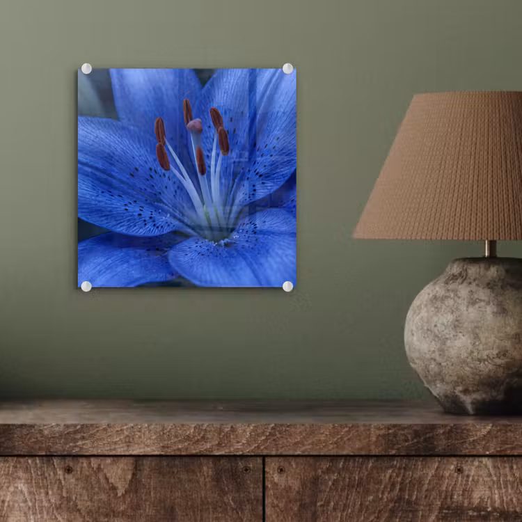 Glas schilderij - Blauwe bloem - Natuur — 4