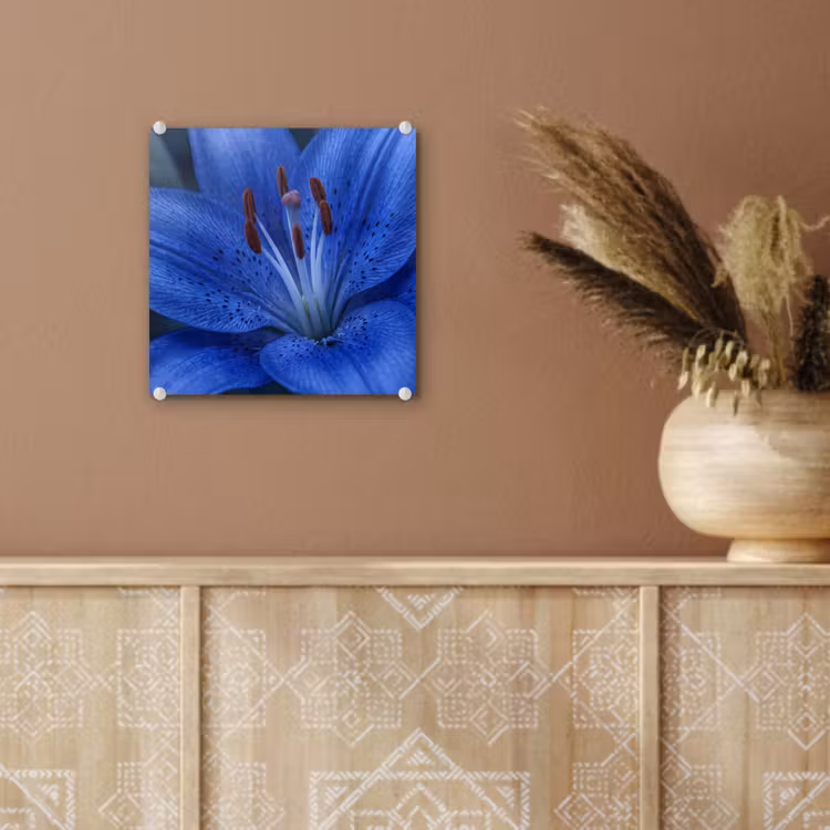 Glas schilderij - Blauwe bloem - Natuur — 6