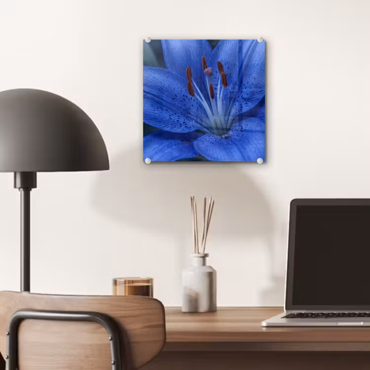 Glas schilderij - Blauwe bloem - Natuur — 7