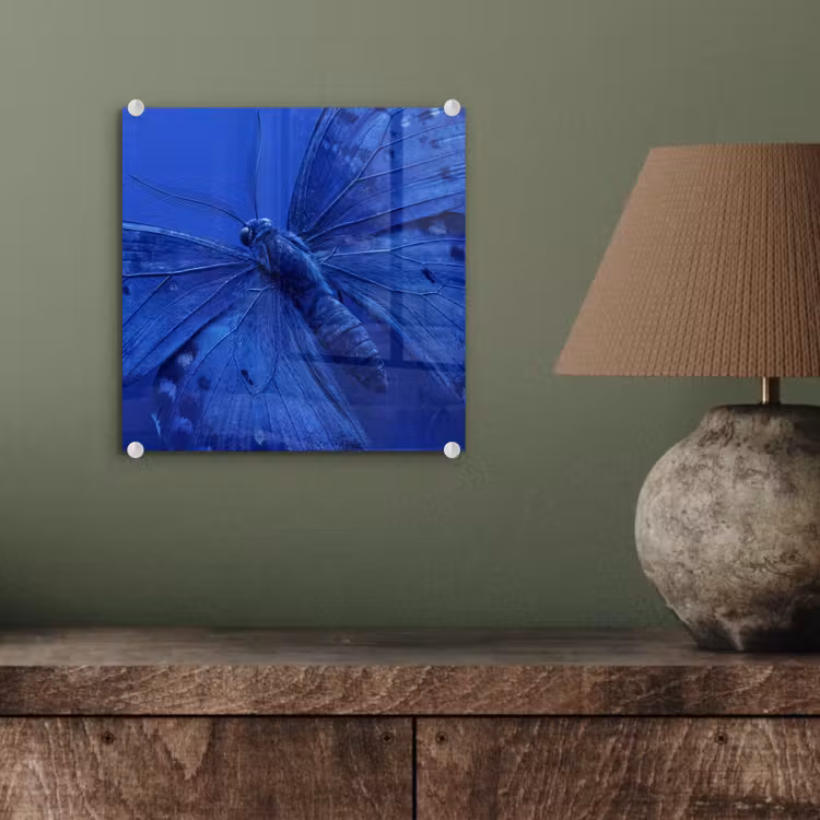 Glas schilderij - Blauwe vlinder - Insect — 4
