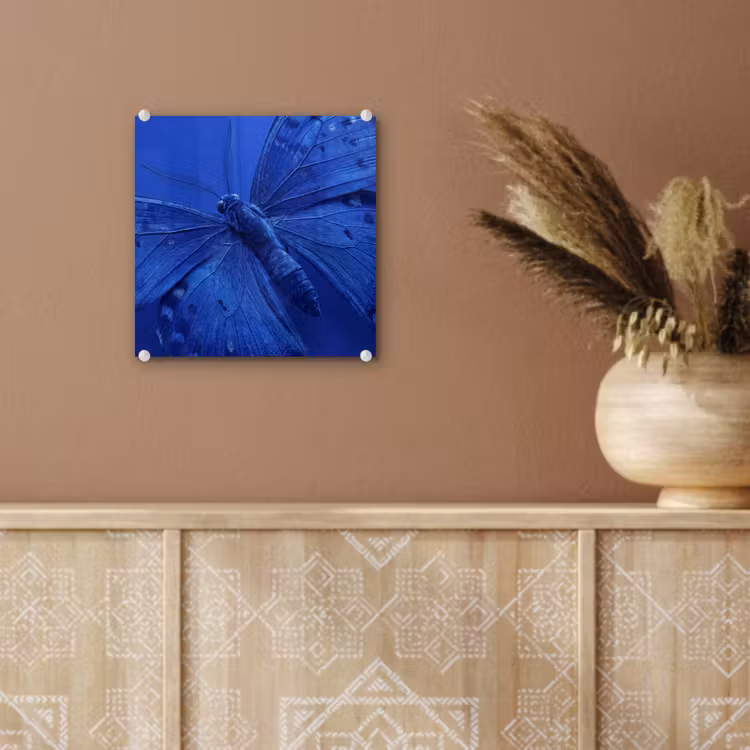 Glas schilderij - Blauwe vlinder - Insect — 6