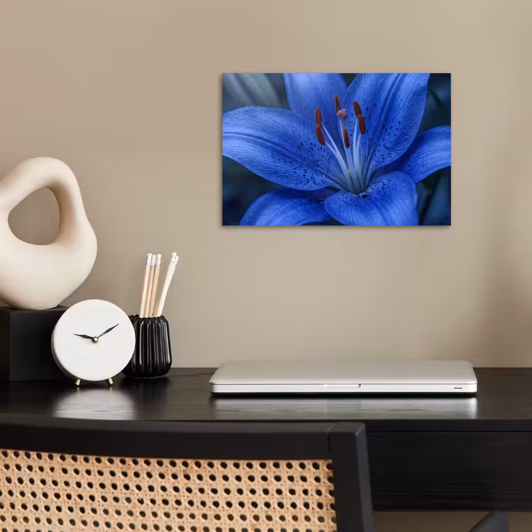 Poster - Blauwe bloem - Natuur — 2