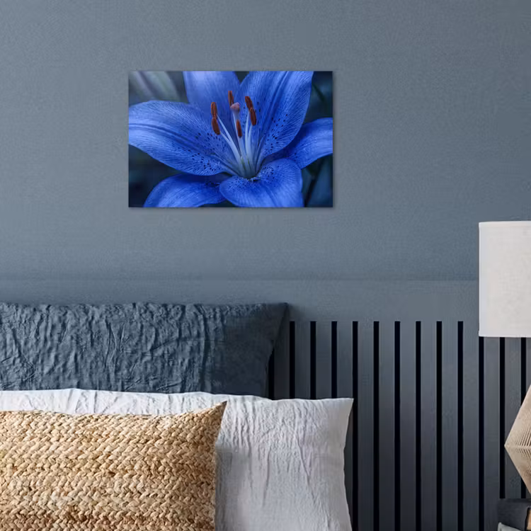 Poster - Blauwe bloem - Natuur — 3
