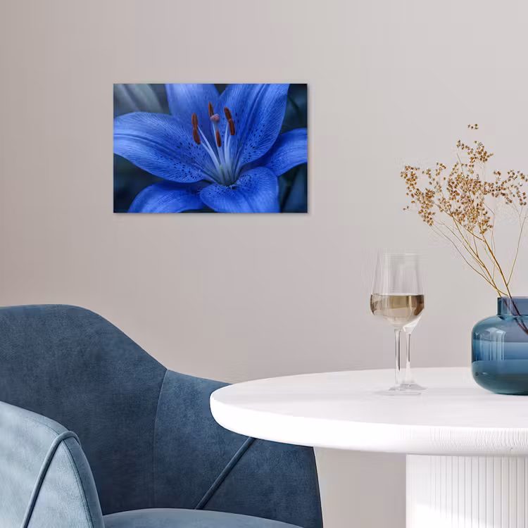 Poster - Blauwe bloem - Natuur — 4