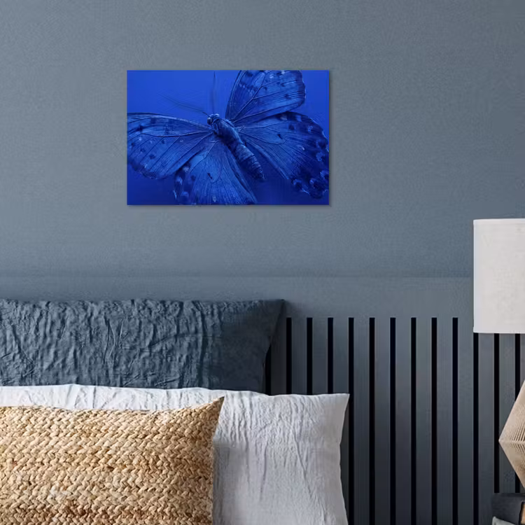 Poster - Blauwe vlinder - Insect — 3