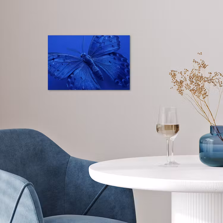 Poster - Blauwe vlinder - Insect — 4