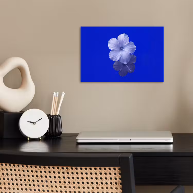 Poster - Bloemen - Blauw - Natuur — 2
