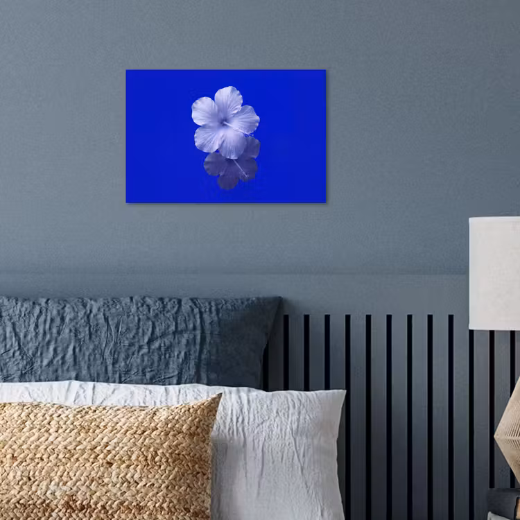 Poster - Bloemen - Blauw - Natuur — 3