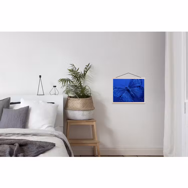 Schoolplaat - Blauwe vlinder - Insect — 2
