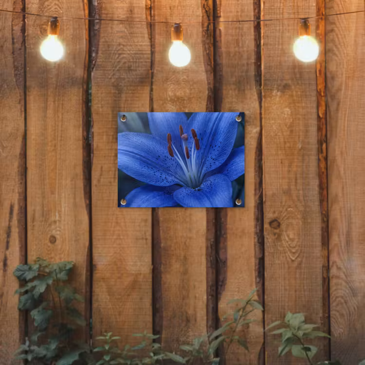 Tuinposter - Blauwe bloem - Natuur — 2