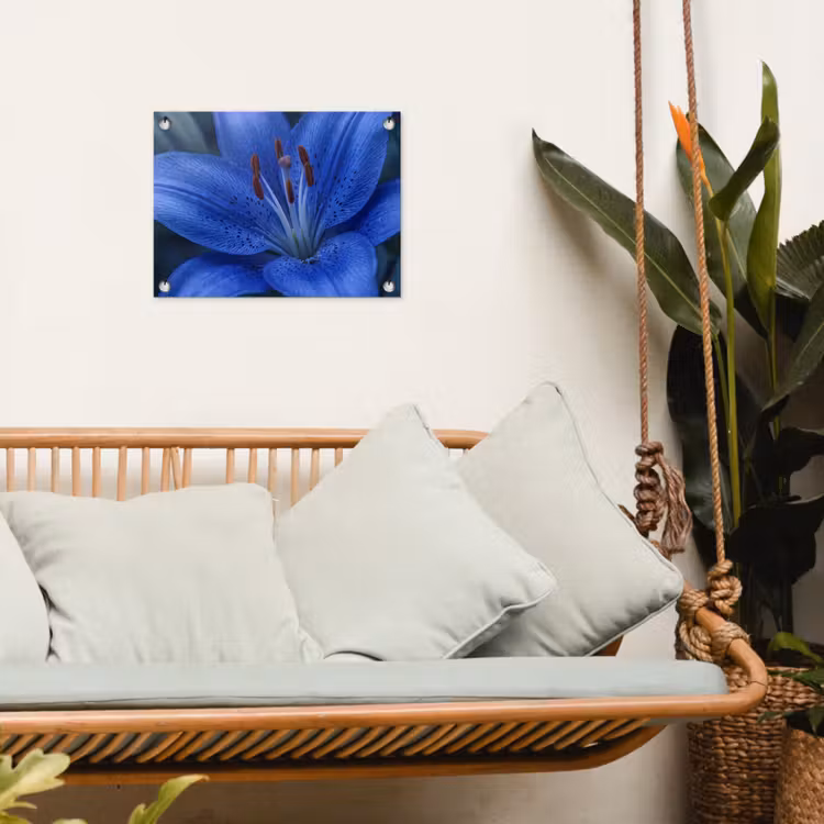 Tuinposter - Blauwe bloem - Natuur — 5