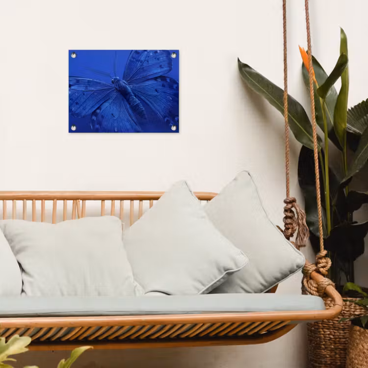 Tuinposter - Blauwe vlinder - Insect — 5