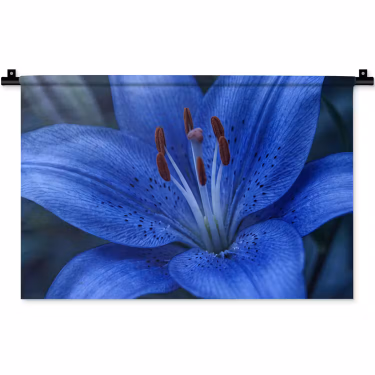 Wandkleed - Blauwe bloem - Natuur — 1