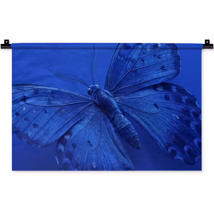 Wandkleed - Blauwe vlinder - Insect — 1