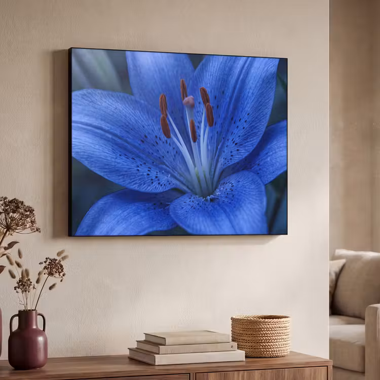 Art Frame - Blauwe bloem - Natuur — 7