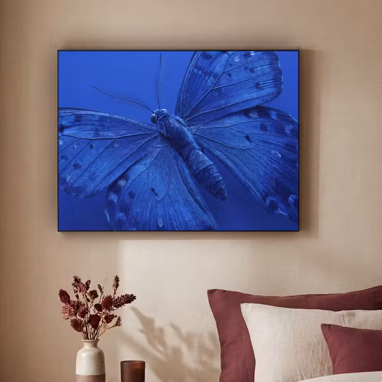 Art Frame - Blauwe vlinder - Insect — 3