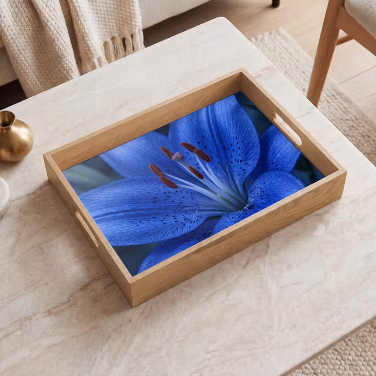 Dienblad - Blauwe bloem - Natuur — 2