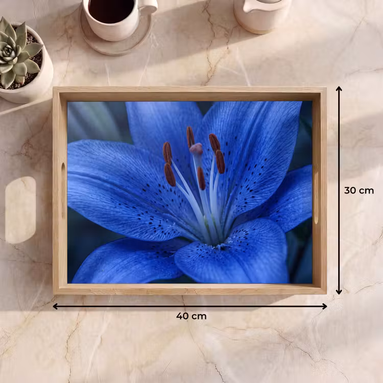 Dienblad - Blauwe bloem - Natuur — 9