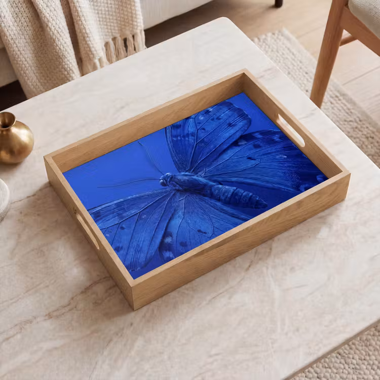 Dienblad - Blauwe vlinder - Insect — 2
