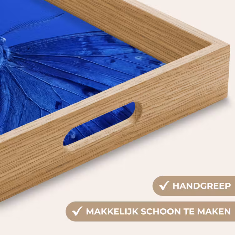 Dienblad - Blauwe vlinder - Insect — 5