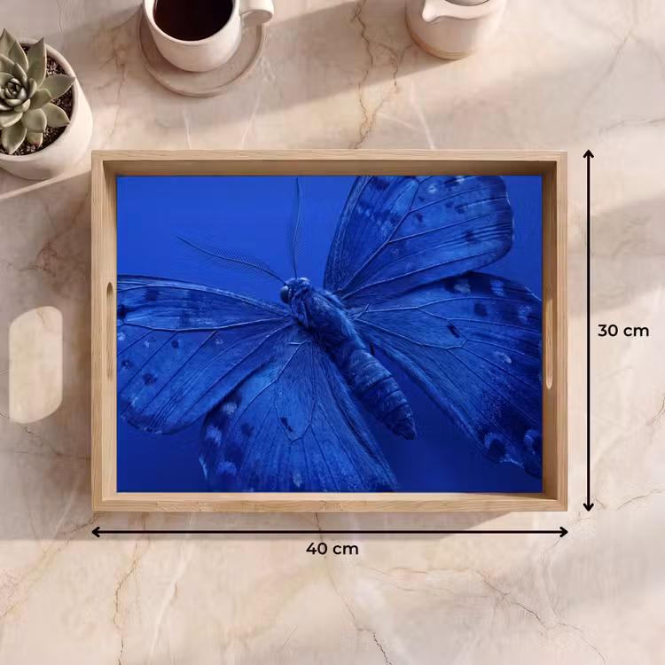 Dienblad - Blauwe vlinder - Insect — 9
