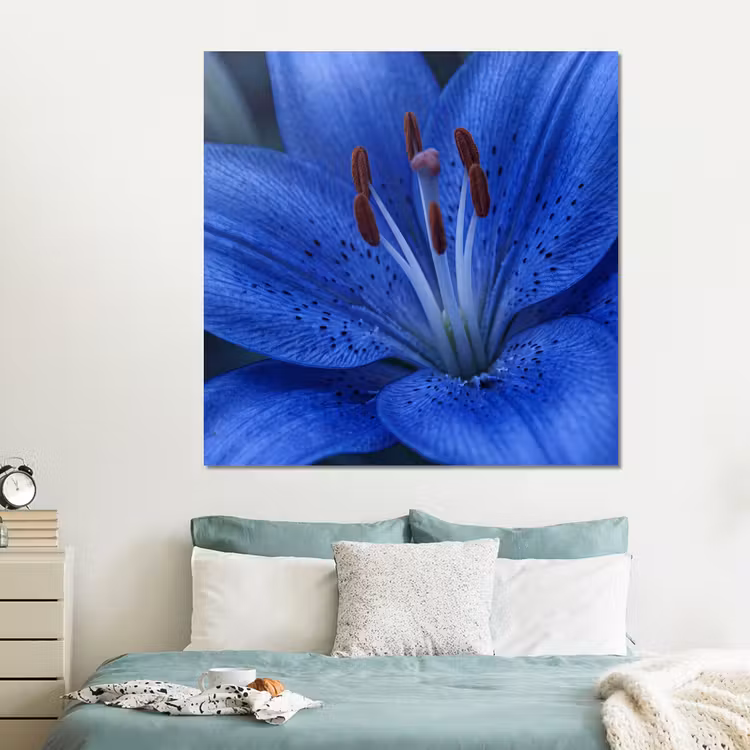 Forex - Blauwe bloem - Natuur — 2