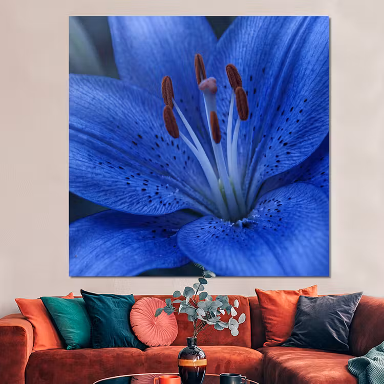 Forex - Blauwe bloem - Natuur — 3