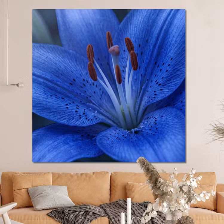 Forex - Blauwe bloem - Natuur — 4