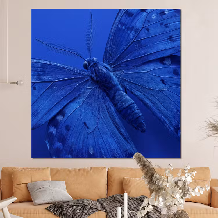 Forex - Blauwe vlinder - Insect — 4