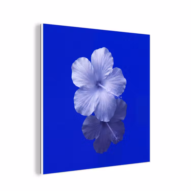 Forex - Bloemen - Blauw - Natuur — 1