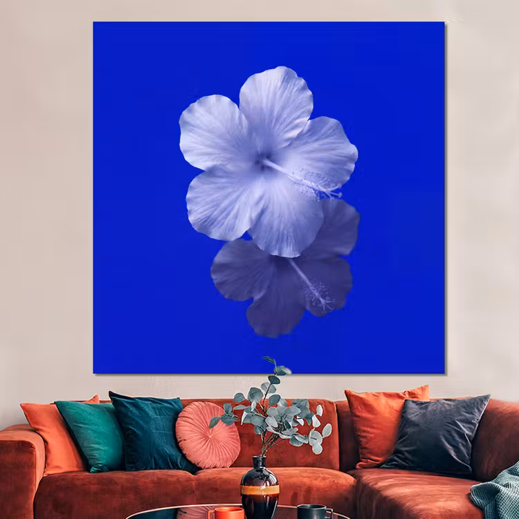 Forex - Bloemen - Blauw - Natuur — 3