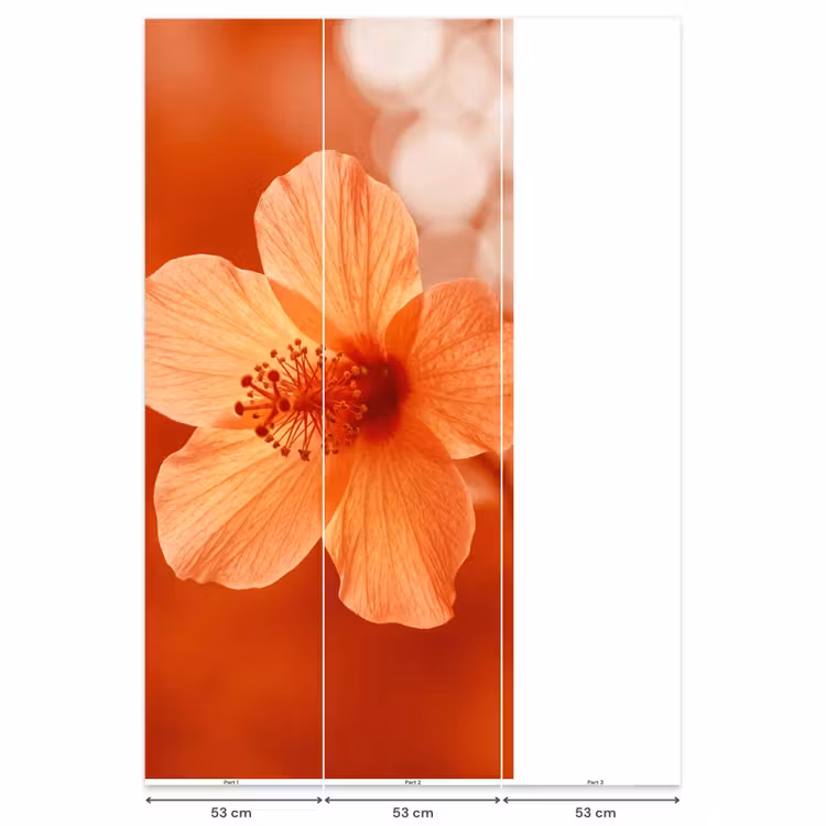 Behang - Oranje bloem - Macro — 6
