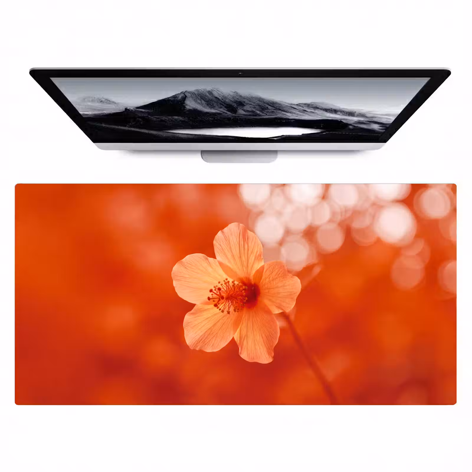 Bureau onderlegger - Oranje bloem - Macro — 1