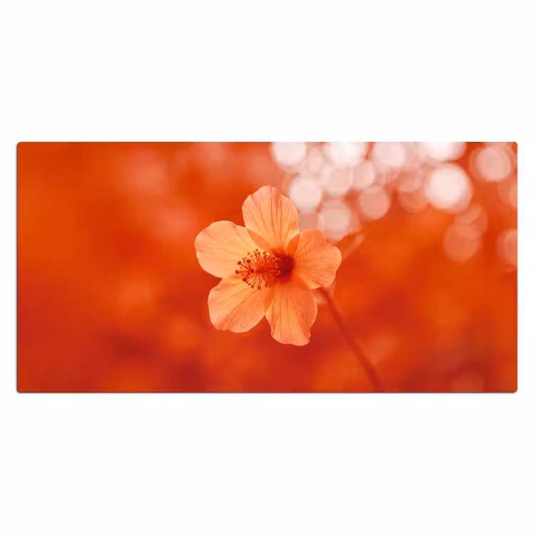 Bureau onderlegger - Oranje bloem - Macro — 2