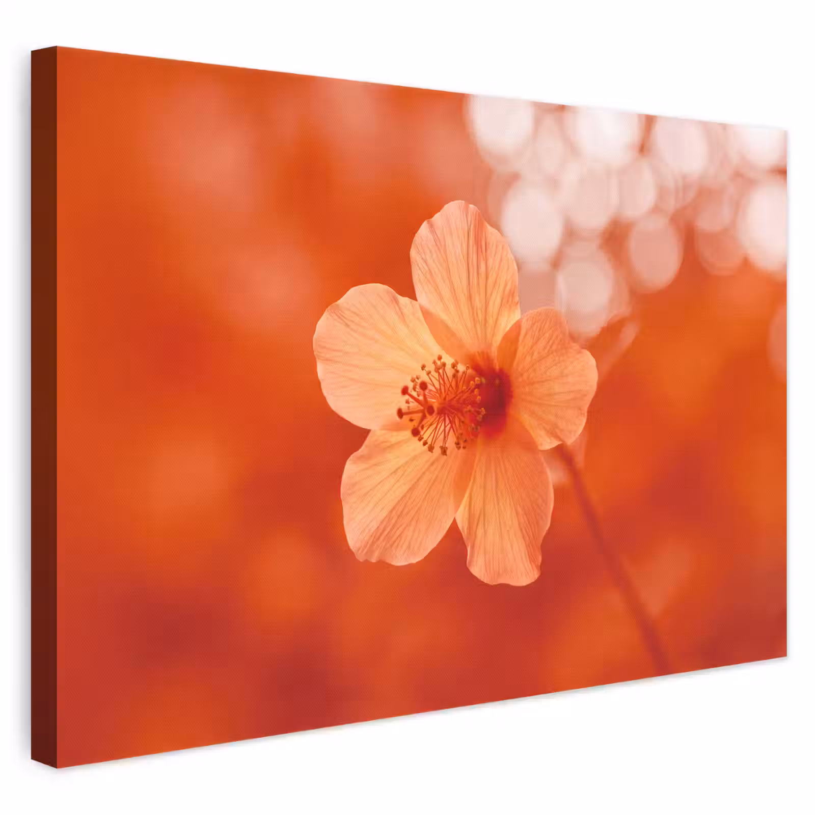Canvas schilderij - Oranje bloem - Macro — 1
