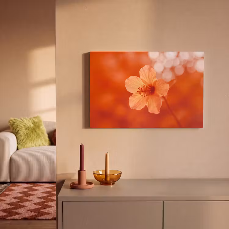 Canvas schilderij - Oranje bloem - Macro — 2